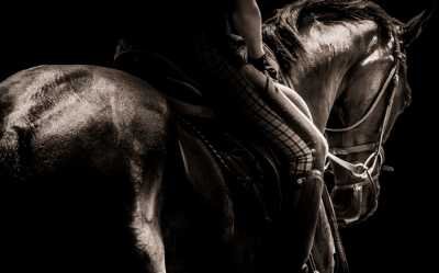 Equine Therapy Horse Riding